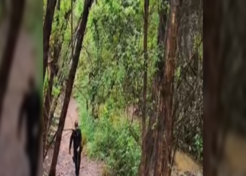 Guarda Municipal de Hortolândia encontra câmera escondida durante patrulhamento