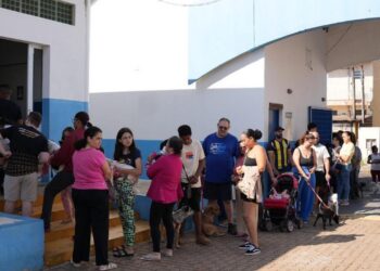 Hortolândia abre inscrições na segunda (28/09) para próximo mutirão de castração de cães e gatos