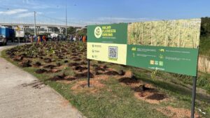 Hortolândia planta 4ª microfloresta urbana nesta segunda