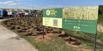 Hortolândia planta 4ª microfloresta urbana nesta segunda-feira (21/09)