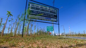 Campinas atinge 30ª microfloresta urbana com 840 mudas em Sousas
