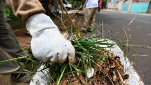 Campinas intensifica mutirão de limpeza de bocas de lobo com alerta de chuva