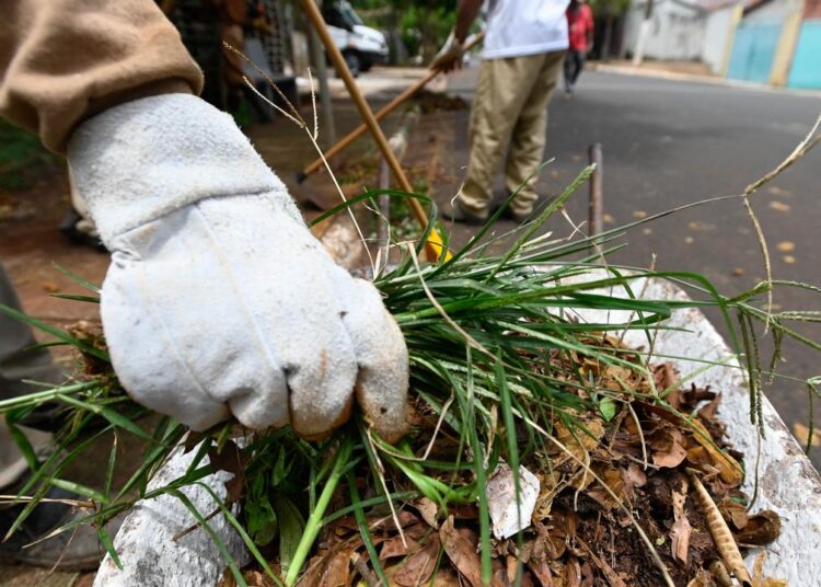 Obstrução das bocas de lobo por lixo e folhas