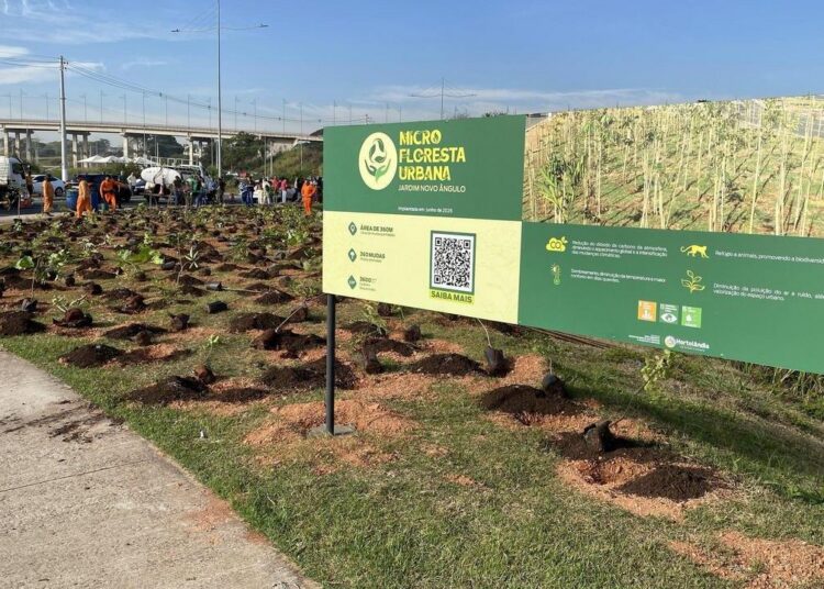 No Dia da Árvore (21/09), Hortolândia ganhará 4ª microfloresta urbana