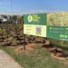 No Dia da Árvore (21/09), Hortolândia ganhará 4ª microfloresta urbana