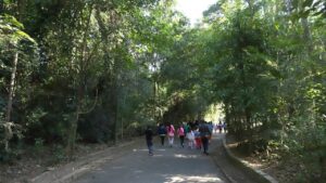 Prefeitura abre todos os parques e bosques de Campinas nesta quinta, 17
