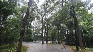 Prefeitura mantém parques fechados após chuvas acumuladas em Campinas