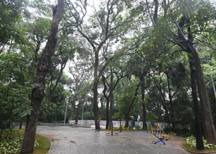 Bosque dos Alemães fechado na região Norte