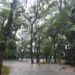 Bosque dos Alemães fechado na região Norte