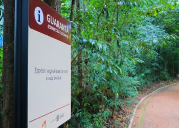 Bosque dos Guarantãs fechado por acumulado de chuvas de 85 mm