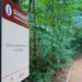 Bosque dos Guarantãs fechado por acumulado de chuvas de 85 mm