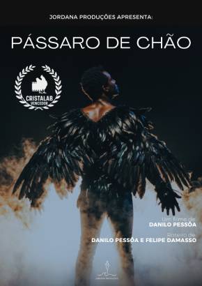 Pássaro de Chão