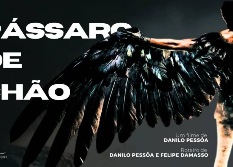 Pássaro de Chão: Filme de Hortolândia vence laboratório nacional de cinema em Marília