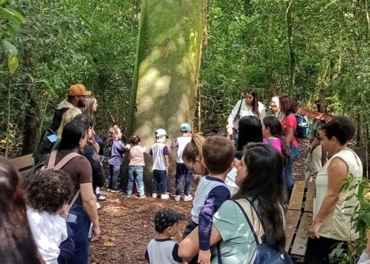 Atividades educativas na Mata de Santa Genebra para o Dia da Árvore em 21 de setembro