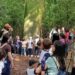 Atividades educativas na Mata de Santa Genebra para o Dia da Árvore em 21 de setembro