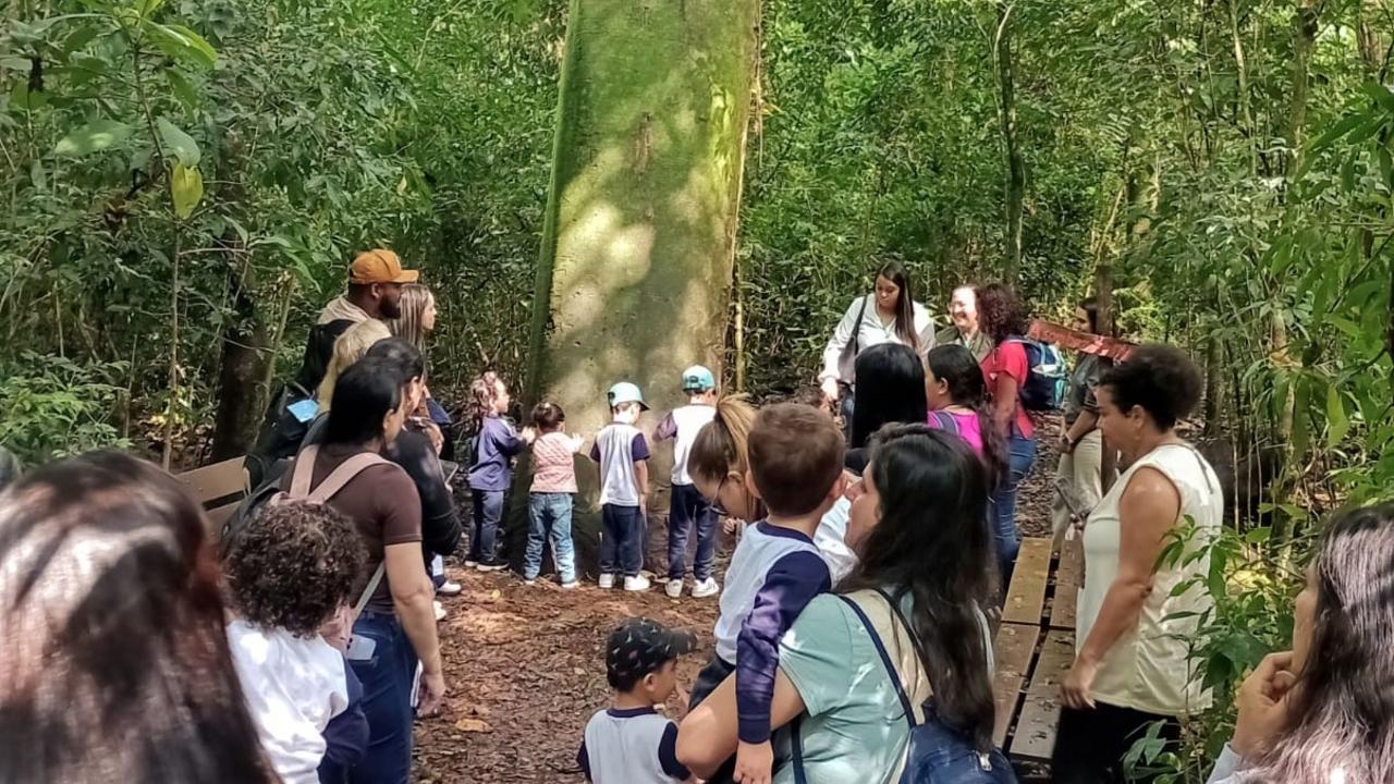 Atividades educativas na Mata de Santa Genebra para o Dia da Árvore em 21 de setembro