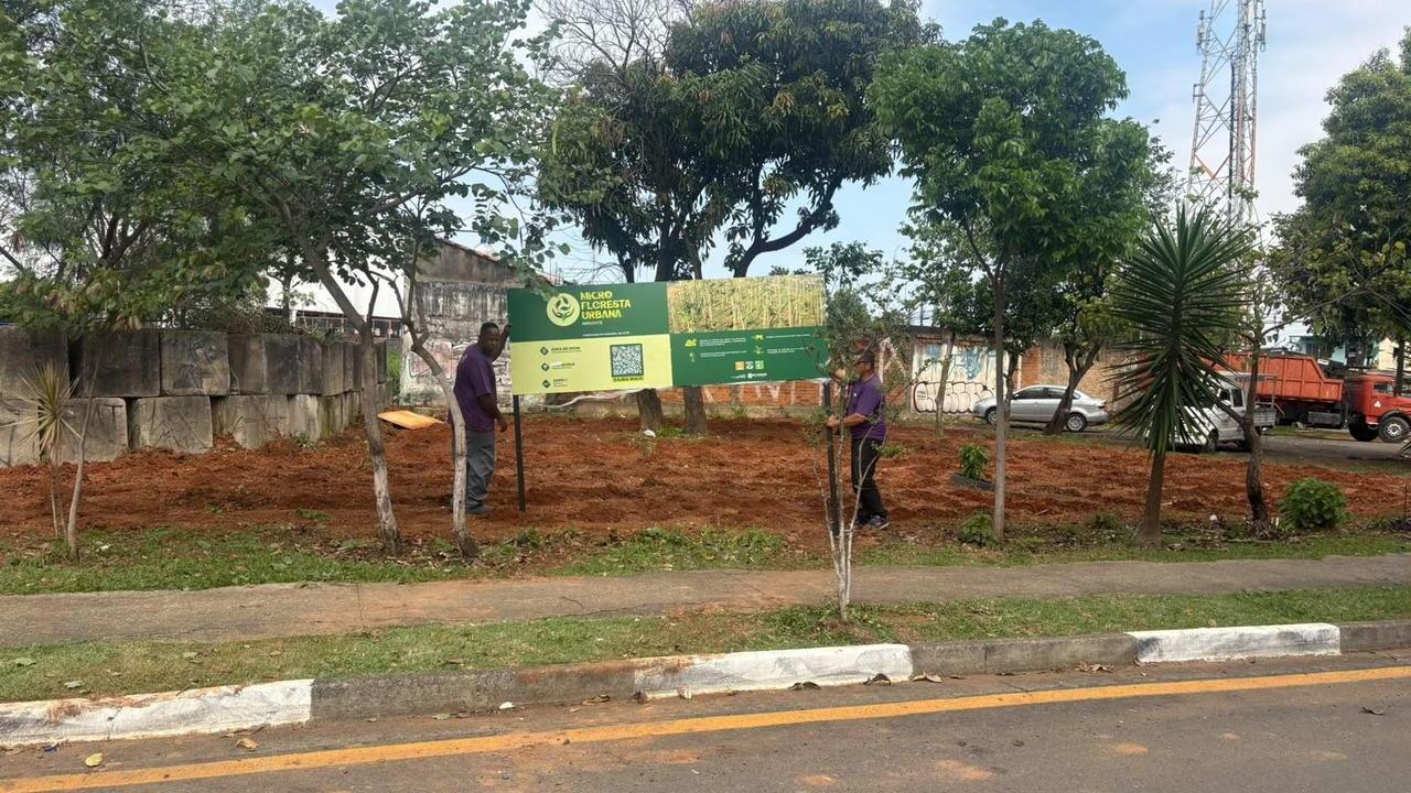 Prefeitura define nova data para o plantio da 4ª microfloresta de Hortolândia