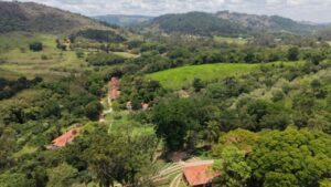 Campinas regulamenta programa para remunerar conservação de áreas de mata