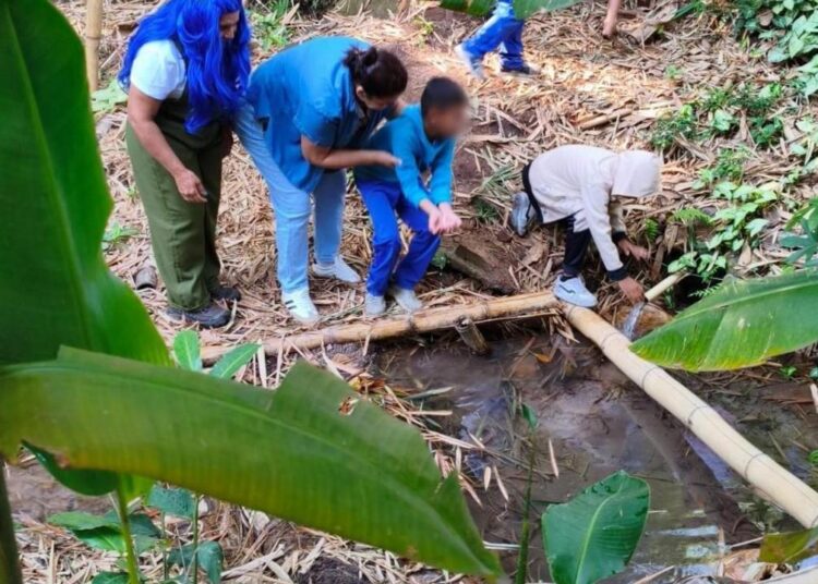 Projeto de educação ambiental ensina crianças a preservar nascentes de Hortolândia