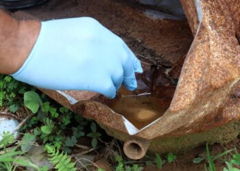 Evitar acúmulo de água em latas, pneus e trocar água dos vasos a cada dois dias