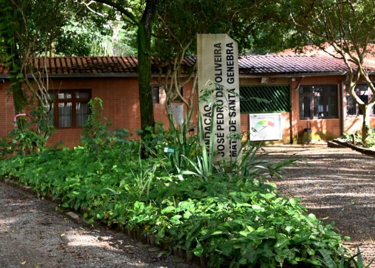 Fundação José Pedro de Oliveira abriu processo seletivo para estagiários níveis médio e superior