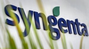Syngenta abre vagas de Jovem Aprendiz em várias cidades da região: veja quem pode se inscrever