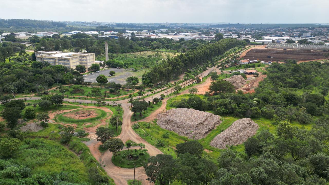 oito árvores da avenida Prestes Maia sendo transplantadas para a Usina Verde de Compostagem
