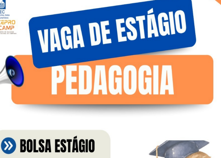 Estudantes de pedagogia e administração têm estágio na Fumec