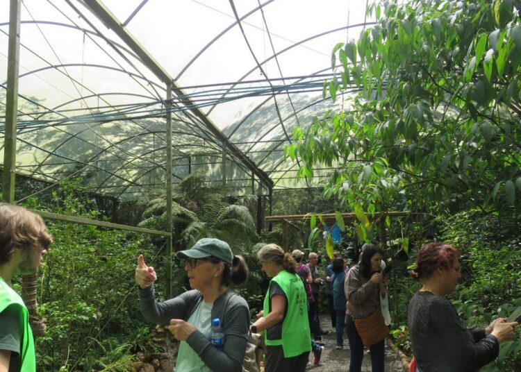 Grupo percorreu a Trilha do Jatobá até o borboletário com pausas para apreciar vegetação nativa e animais
