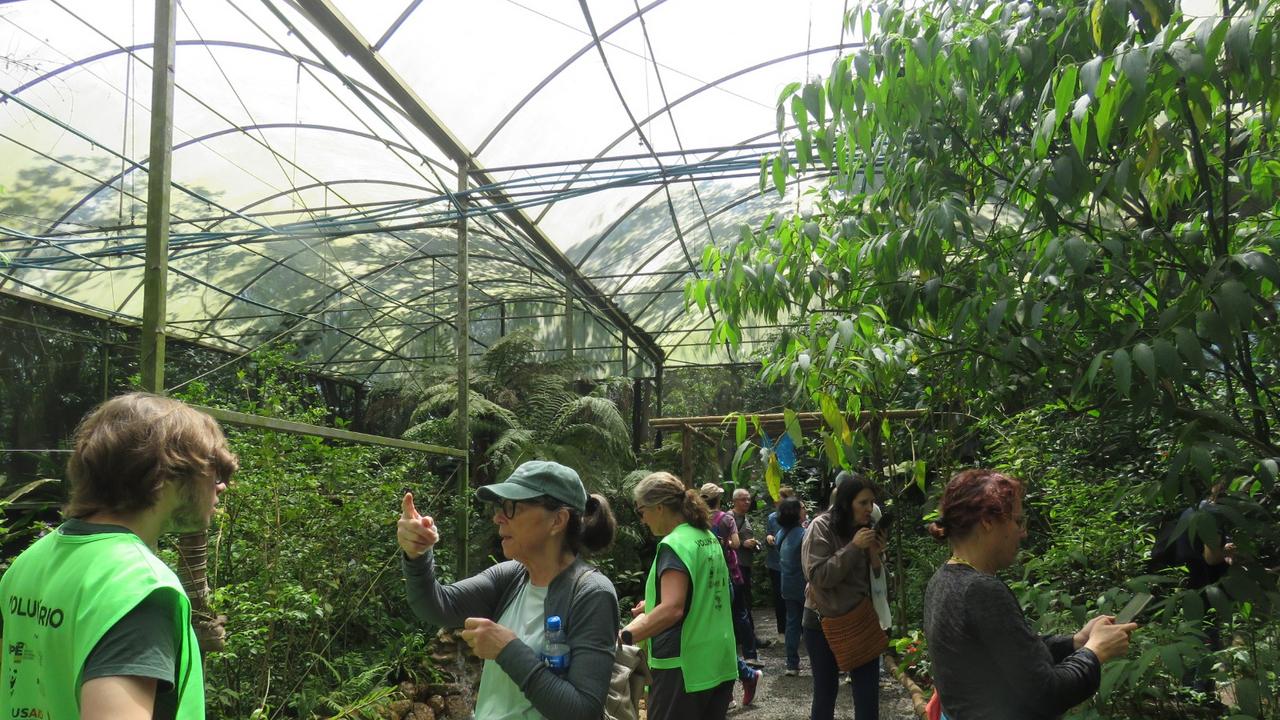 Grupo percorreu a Trilha do Jatobá até o borboletário com pausas para apreciar vegetação nativa e animais