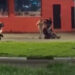 Briga em Hortolândia ocorre perto do Plantão Policial
