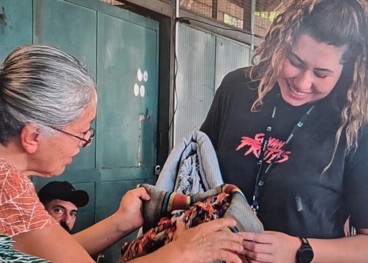 Feira Cearte com artesanato e gastronomia no Mercado de Flores da Ceasa Campinas
