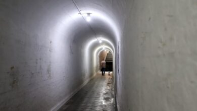 Tour pelo túnel mal-assombrado na Feira Cult com concurso de fantasia e atividades artísticas