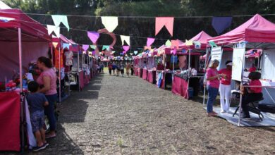 Atualmente cerca de 700 mulheres fazem parte do programa