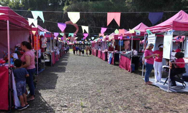 Atualmente cerca de 700 mulheres fazem parte do programa
