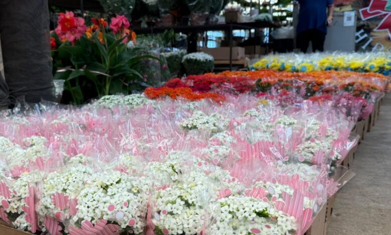 Tradição de levar flores aos cemitérios no Dia de Finados com variedade nas vendas