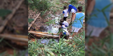 Ações ambientais marcam o Mês da Árvore em Hortolândia