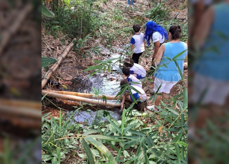 Ações ambientais marcam o Mês da Árvore em Hortolândia