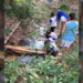 Ações ambientais marcam o Mês da Árvore em Hortolândia
