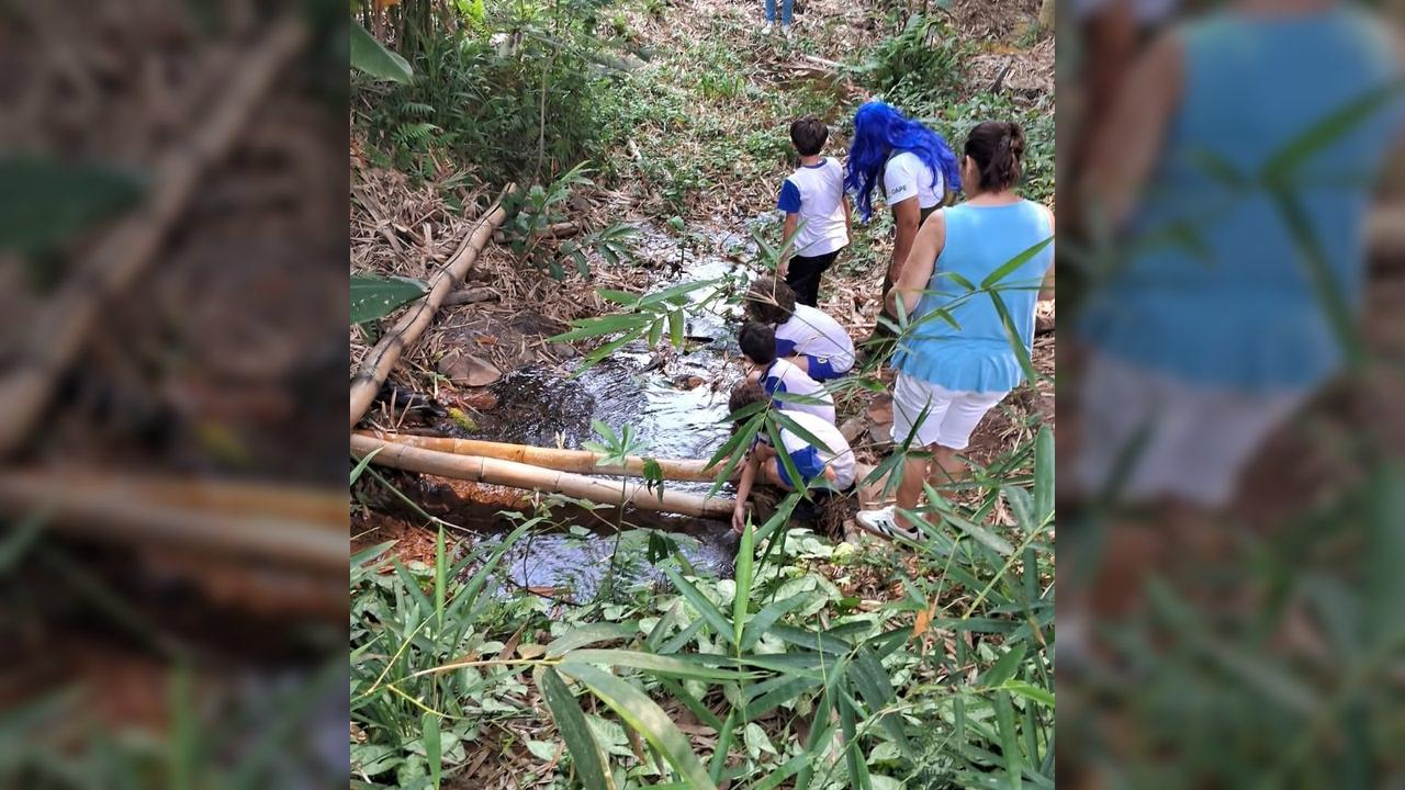 Ações ambientais marcam o Mês da Árvore em Hortolândia