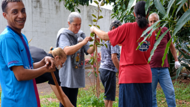 acolhidos plantando mudas diversas em vasos durante feriado com chuva