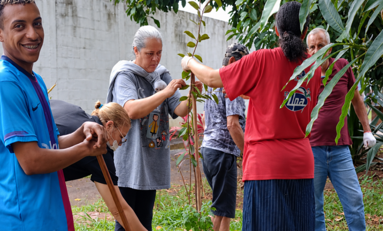 acolhidos plantando mudas diversas em vasos durante feriado com chuva