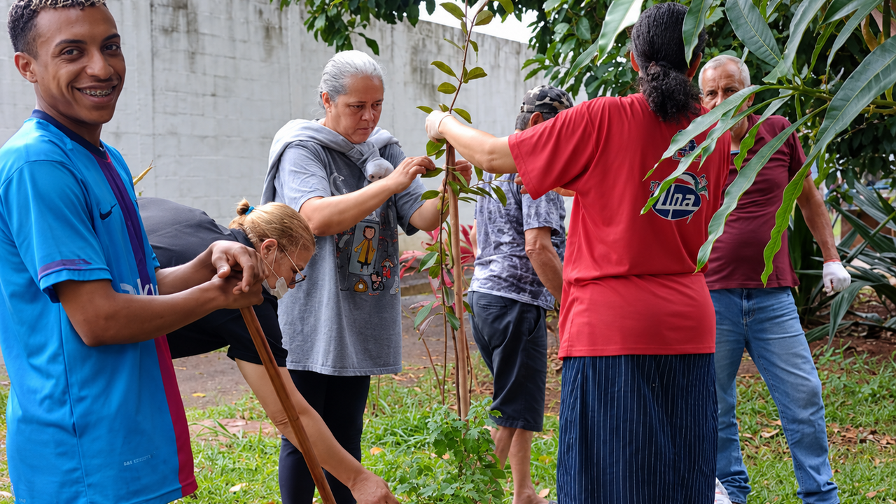 acolhidos plantando mudas diversas em vasos durante feriado com chuva
