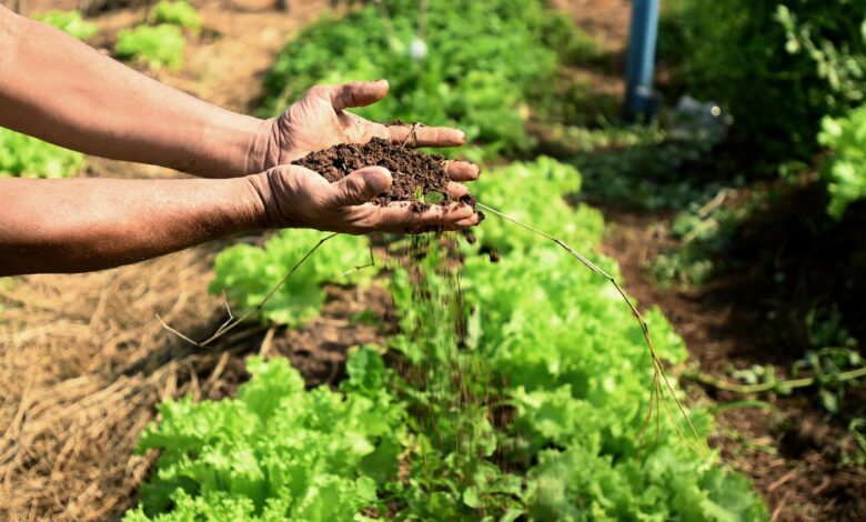 Representantes do Programa Campinas Solidária e Sustentável no encontro nacional sobre agricultura urbana