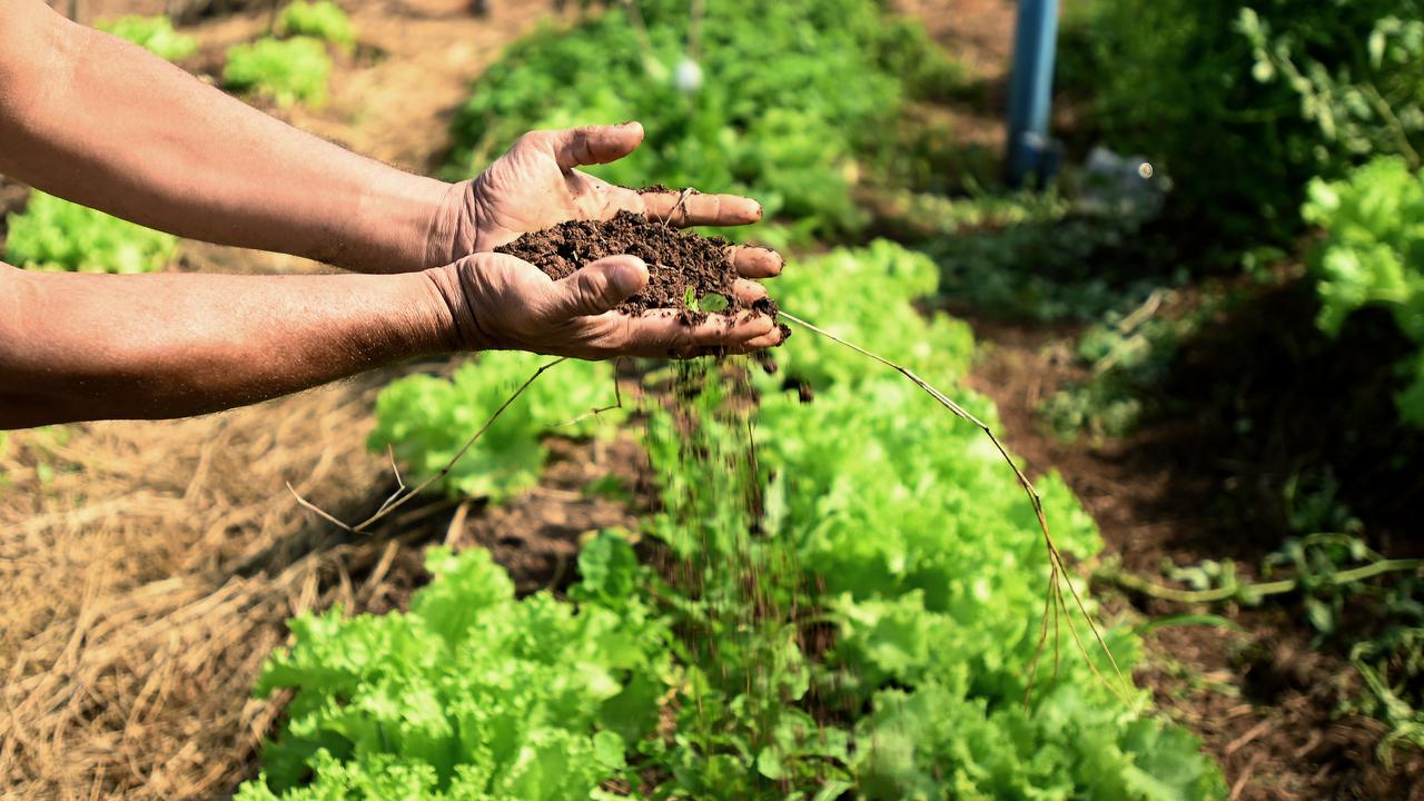Representantes do Programa Campinas Solidária e Sustentável no encontro nacional sobre agricultura urbana