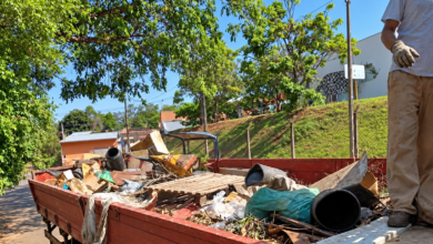 Manutenção e limpeza no bairro dos Amarais beneficiam a implantação da agrofloresta
