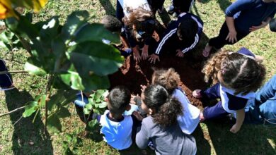 Projeto já contemplou 26 escolas municipais de Campinas