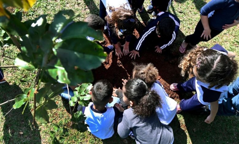 Projeto já contemplou 26 escolas municipais de Campinas