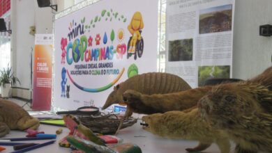 Mercado de Flores da Ceasa Campinas recebe exposição sobre a diversidade da Mata de Santa Genebra