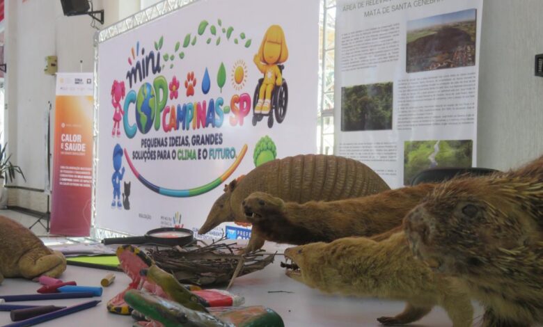 Mercado de Flores da Ceasa Campinas recebe exposição sobre a diversidade da Mata de Santa Genebra